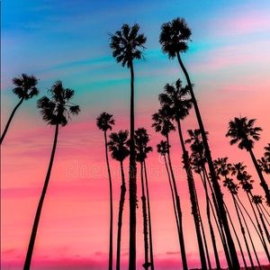 Meet your Posher, Anastasia